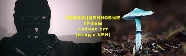 СК Абаза