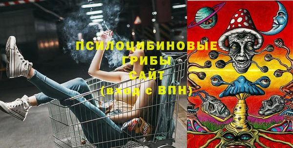 СК Абаза