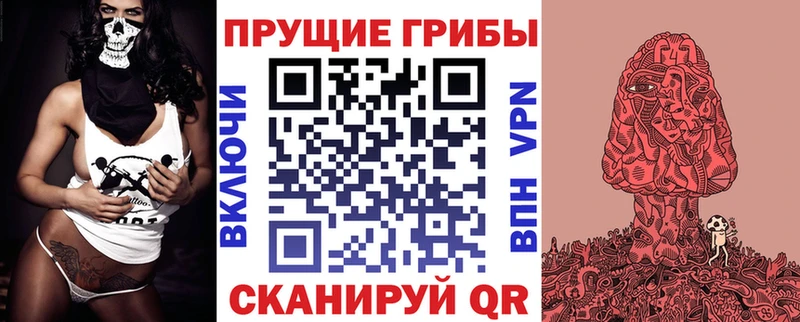 что такое Ирбит Галлюциногенные грибы MAGIC MUSHROOMS