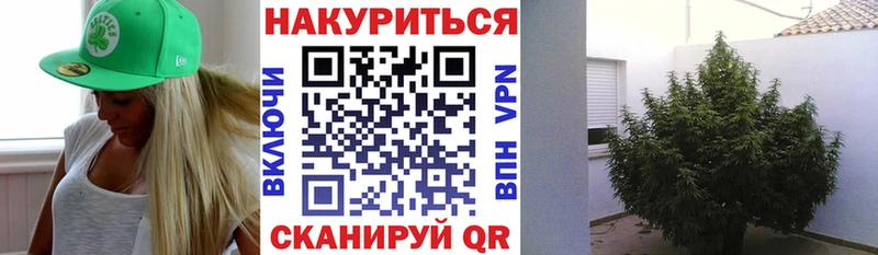 где купить наркоту  Ирбит  Бошки марихуана Bruce Banner 
